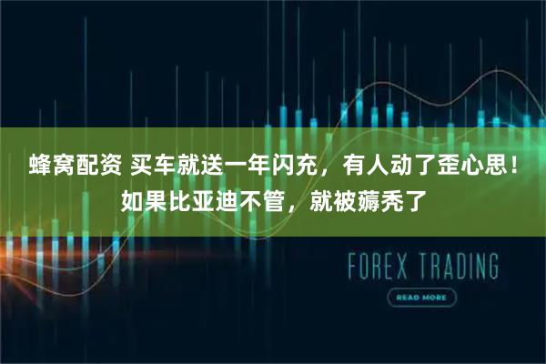 蜂窝配资 买车就送一年闪充，有人动了歪心思！如果比亚迪不管，就被薅秃了