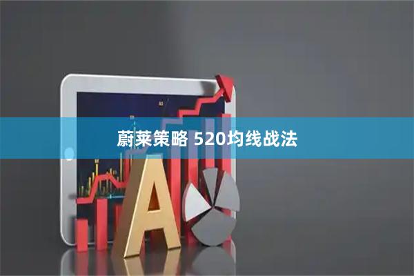 蔚莱策略 520均线战法